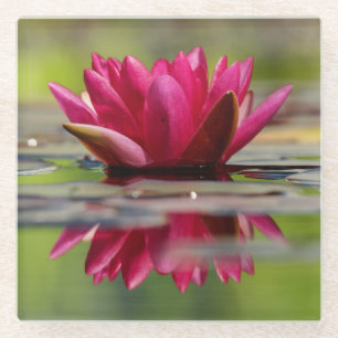 Beautiful Red Floating Water Lily Glass Coaster