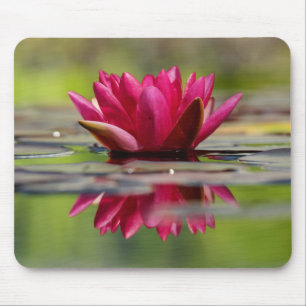 Beautiful Red Floating Water Lily Mouse Mat