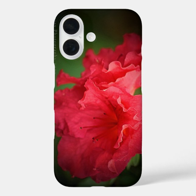Beautiful Red Flower * Case-Mate iPhone Case (Back)