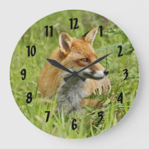 Beautiful Red Fox / Vixen