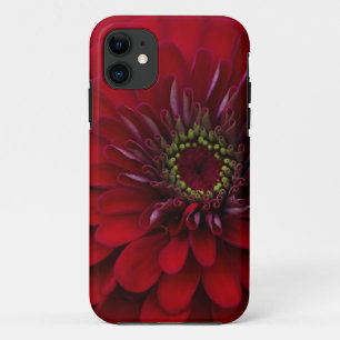 Beautiful Red Garden Zinnia Flower iPhone 11 Case
