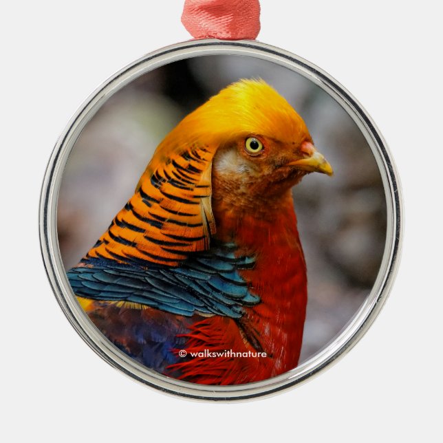Beautiful Red Golden Pheasant Gamebird Metal Tree Decoration (Front)