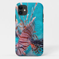 Beautiful Red Lion Fish