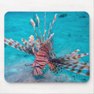Beautiful Red Lion Fish Mouse Mat