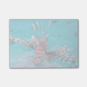 Beautiful Red Lion Fish Post-it Notes