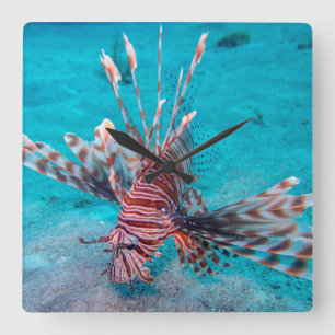 Beautiful Red Lion Fish Square Wall Clock