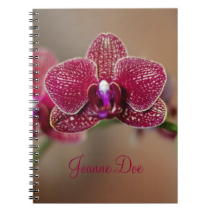 Beautiful Red Orchid Notebook