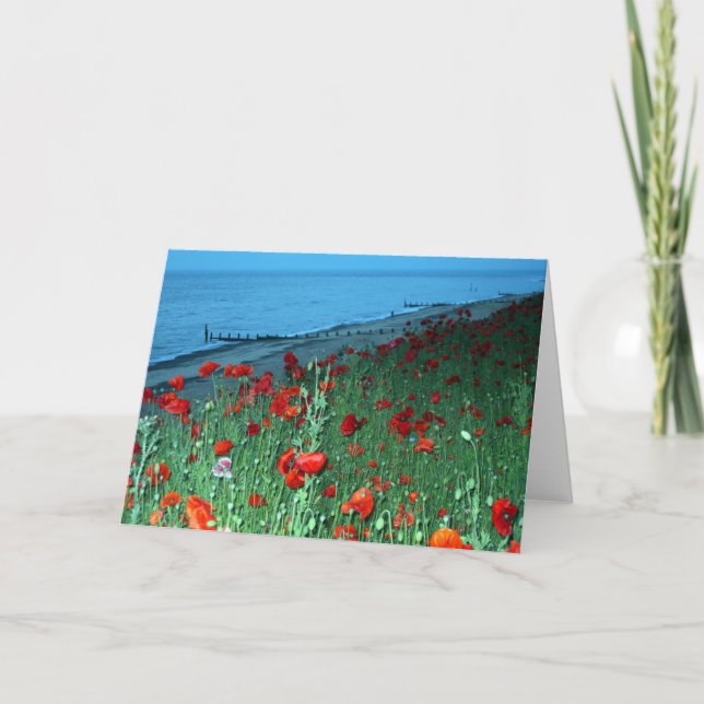 Beautiful Red Poppies Southwold Seafront Photo Card (Front)
