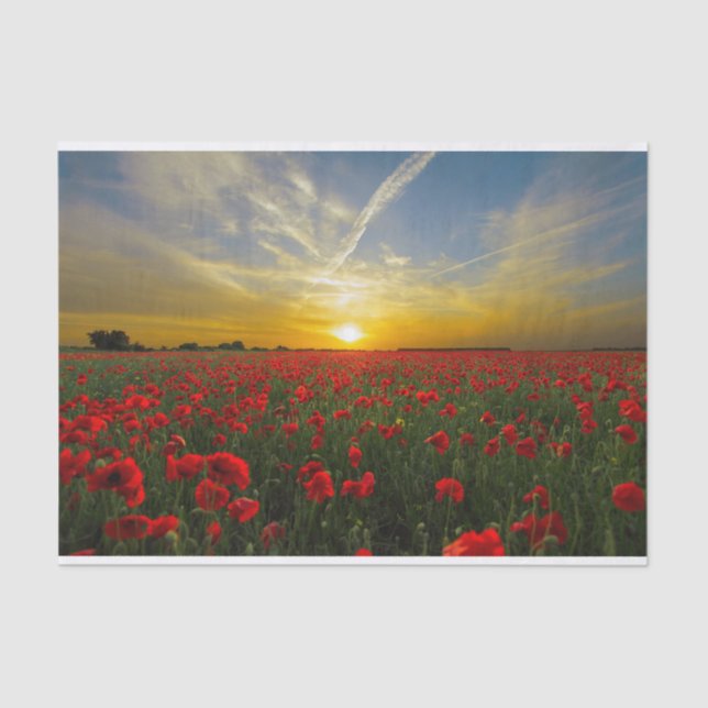 Beautiful Red Poppy Field Sunset Photography Tissue Paper (Front)