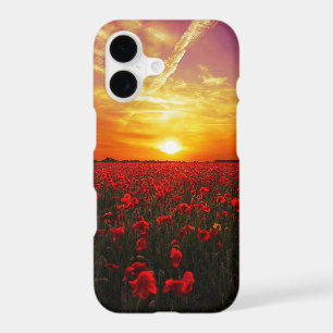 Beautiful red poppy flower field sunset