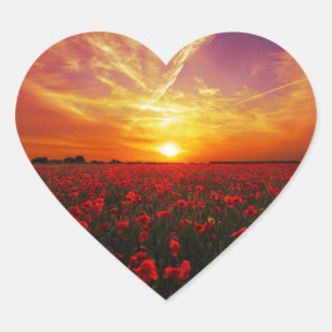 Beautiful red poppy flower field sunset heart sticker