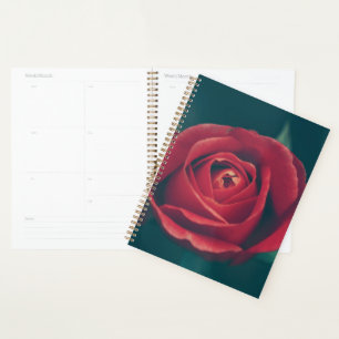 Beautiful Red Rose Flower Floral Planner