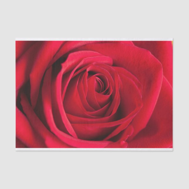 Beautiful Red Rose Flower Tissue Paper (Front)