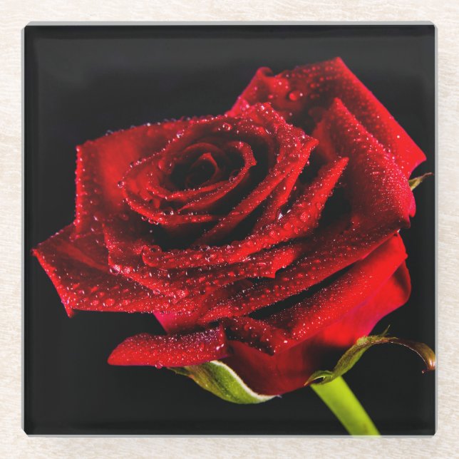 Beautiful red rose glass coaster (Front)