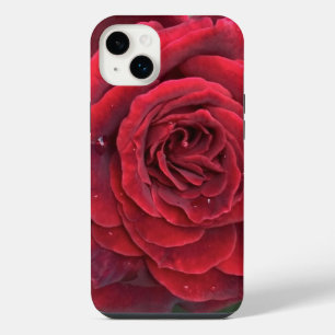 Beautiful red rose iphone 14 Plus barely there Case