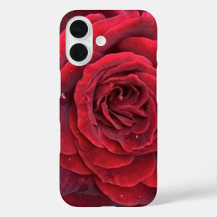 Beautiful red rose iphone 16 case