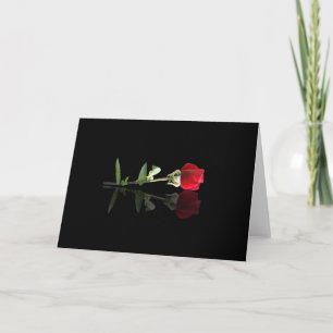 Beautiful Red Rose Note Card, Blank Greeting Cards