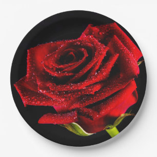 Beautiful red rose paper plate