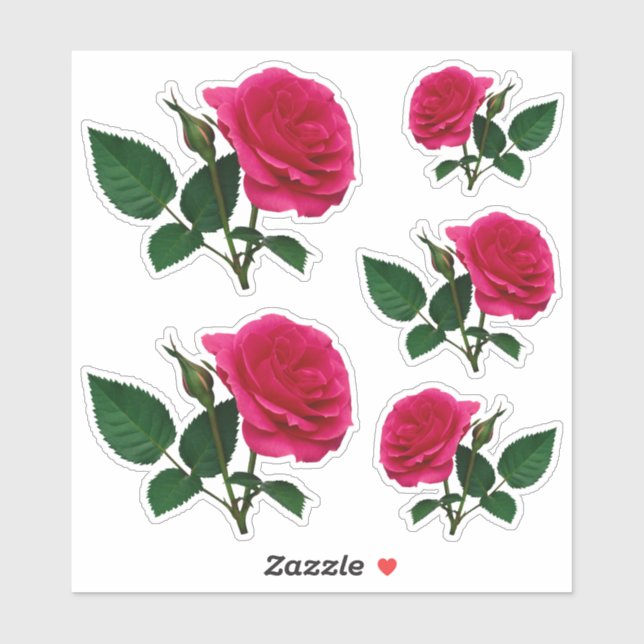 Beautiful red rose photo Transparent CC1145 (Sheet)
