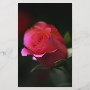 Beautiful Red Rose Stationery