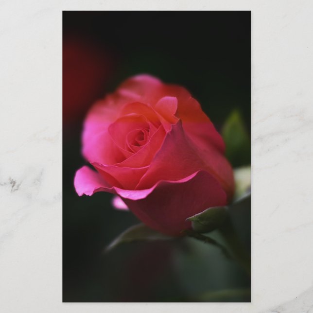 Beautiful Red Rose Stationery (Front)