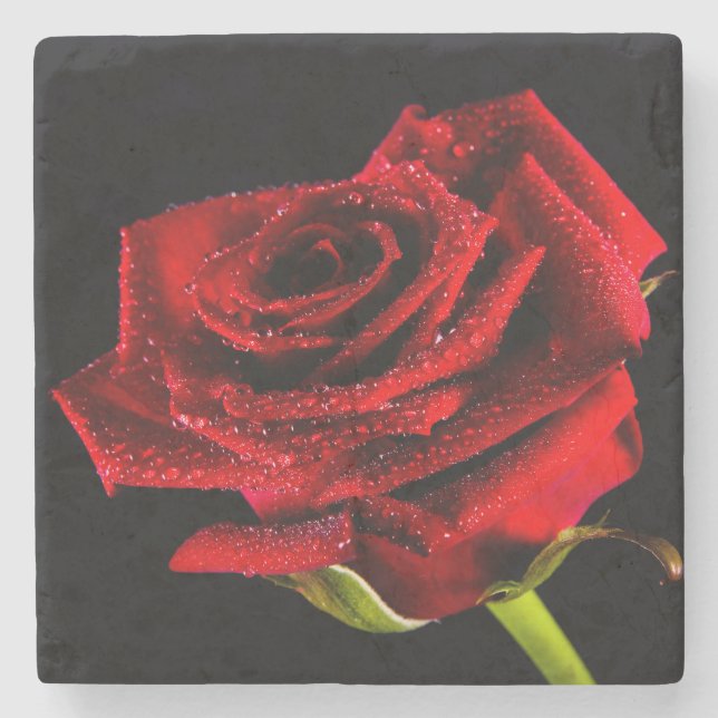 Beautiful red rose stone coaster (Front)