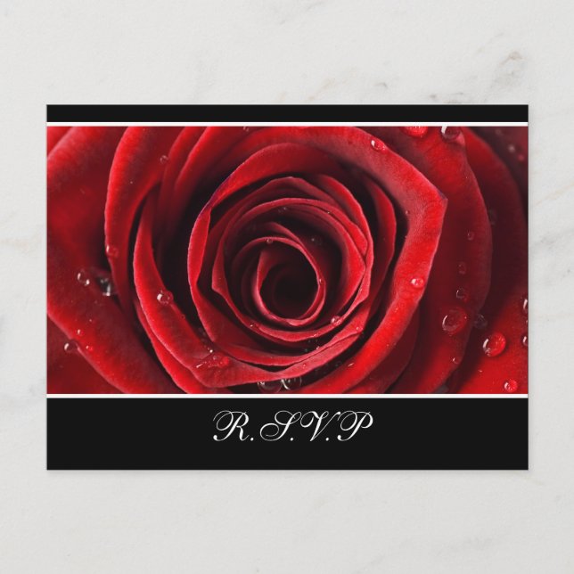 Beautiful Red Rose Wedding RSVP postcard -Black (Front)