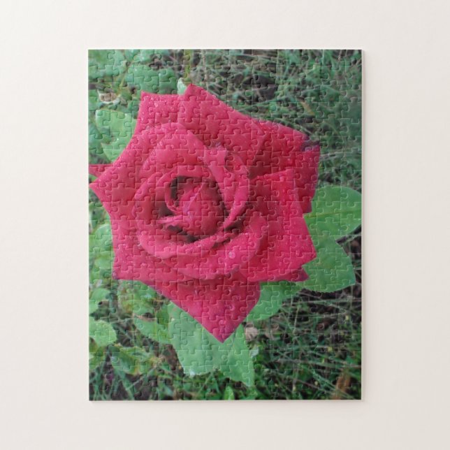 Beautiful Red Rose with Raindrops Jigsaw Puzzle (Vertical)