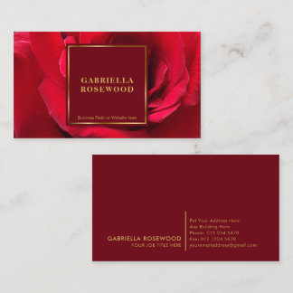 Beautiful Red Rose With Red Square Gold Frame Business Card