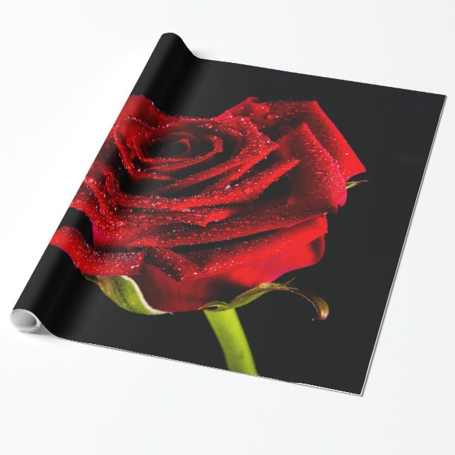 Beautiful red rose wrapping paper (Unrolled)