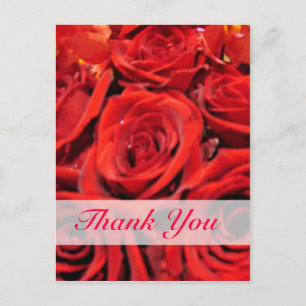 Beautiful Red Roses Thank You Postcard