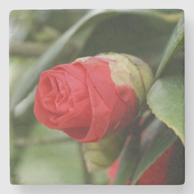Beautiful Red Safflower Stone Coaster (Front)