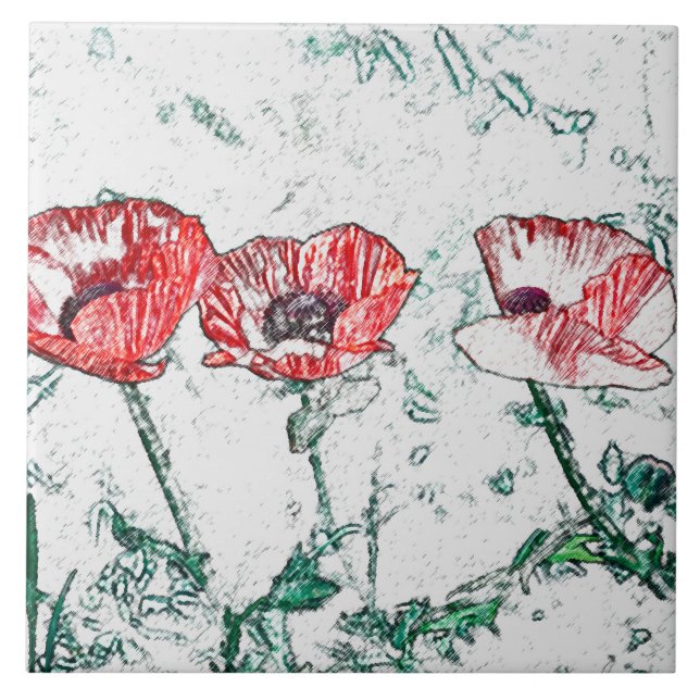 Beautiful Red Three Poppy Flowers Sketch Tile (Front)