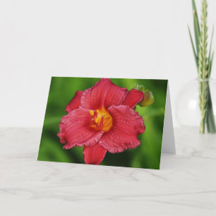 Beautiful Red Tropical Flower Note Card
