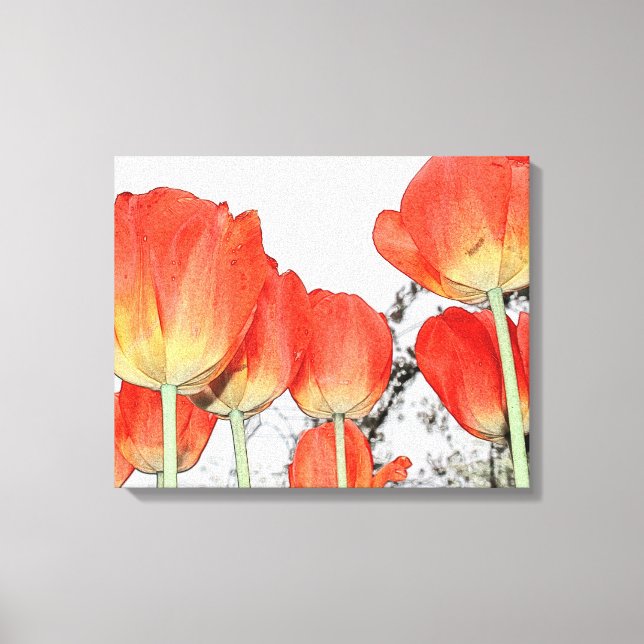 beautiful red tulip flowers canvas print (Front)