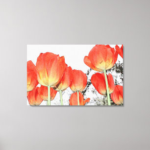 beautiful red tulip flowers canvas print
