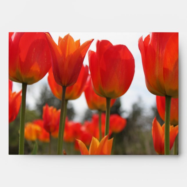 Beautiful Red Tulip Flowers. Envelopes (Front)