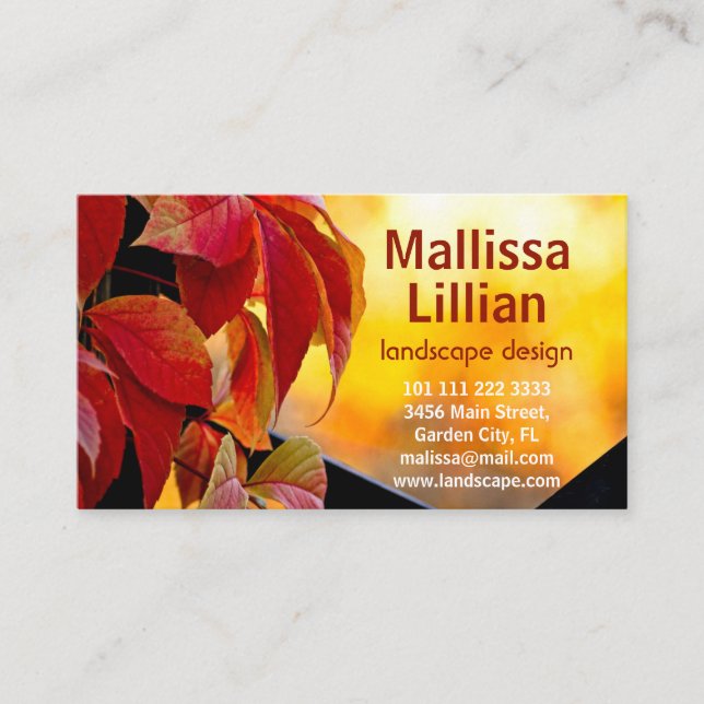 Beautiful red vine leaves in the autumn garden business card (Front)