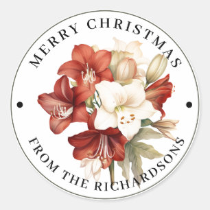 Beautiful Red & White Amaryllis Merry Christmas  Classic Round Sticker