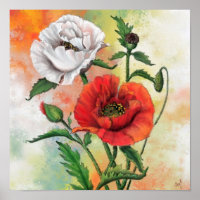 Beautiful Red White Poppy Poster Painting