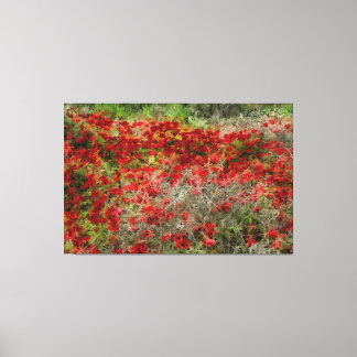 Beautiful Red Wildflower Anemones Abstract Art Canvas Print