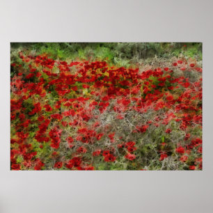 Beautiful Red Wildflower Anemones Abstract Art Poster