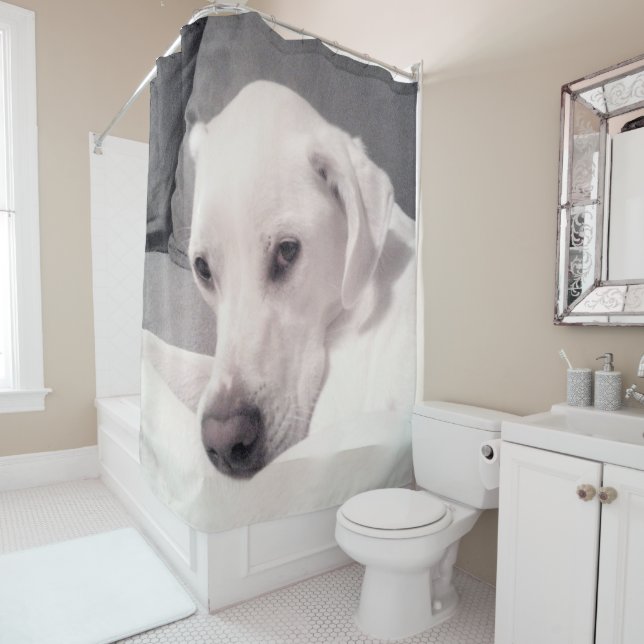 Beautiful Regal White Labrador Mix Dog Grey Shower Shower Curtain (In Situ)