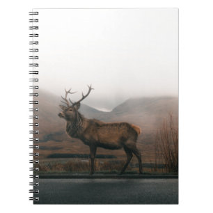 BEAUTIFUL REINDEER NOTEBOOK