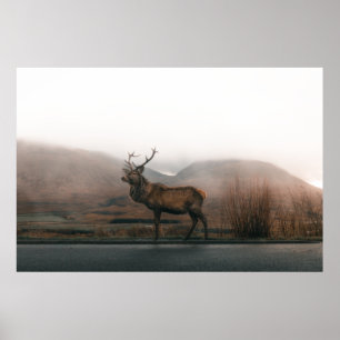 BEAUTIFUL REINDEER POSTER