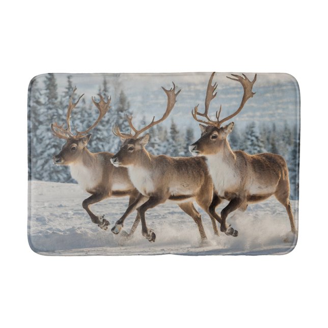 Beautiful Reindeers Bath Mat! Mat (Front)