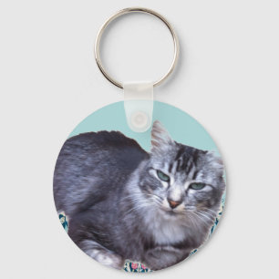 Beautiful Relaxing Cat   Key Ring