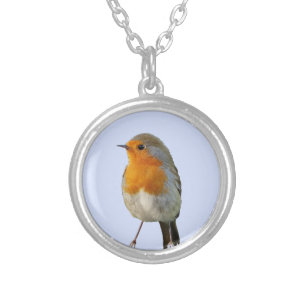 Beautiful Robin Bird on Light Blue Silver Plated Necklace