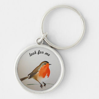 Beautiful Robin remember me Key Ring