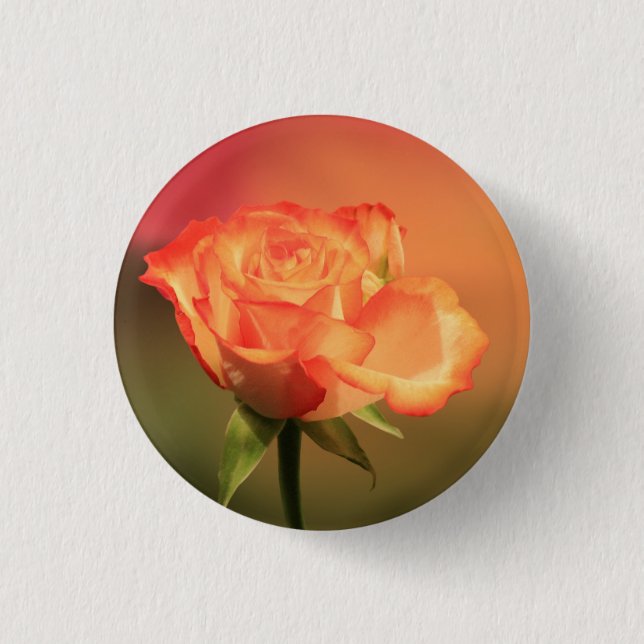 Beautiful Romantic Rose Photograph 3 Cm Round Badge (Front)